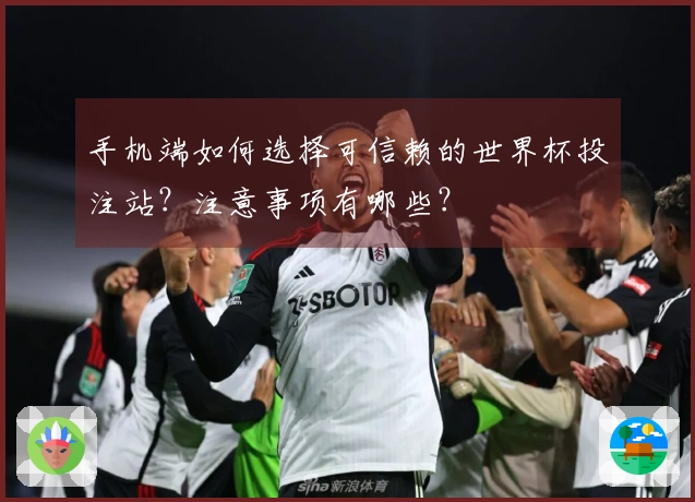 手机端如何选择可信赖的世界杯投注站?注意事项有哪些?