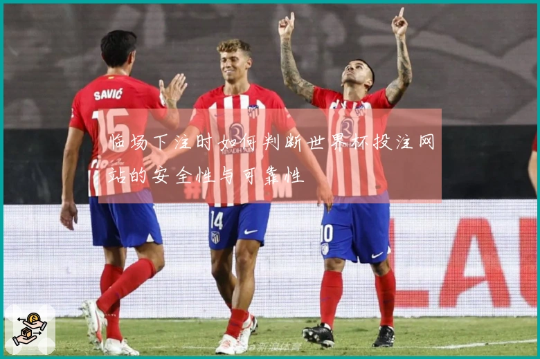 临场下注时如何判断世界杯投注网站的安全性与可靠性