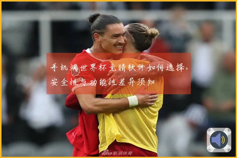 手机端世界杯竞猜软件如何选择，安全性与功能性差异须知