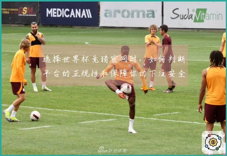 选择世界杯竞猜官网时,如何判断平台的正规性和保障你的下注安全?