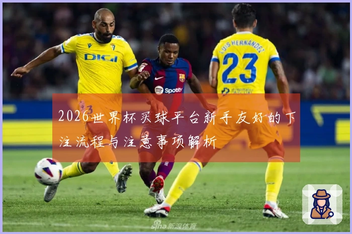 2026世界杯买球平台新手友好的下注流程与注意事项解析
