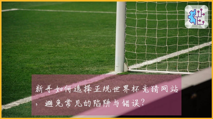 新手如何选择正规世界杯竞猜网站，避免常见的陷阱与错误？