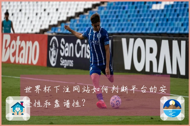 世界杯下注网站如何判断平台的安全性和靠谱性？
