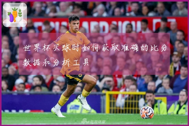 世界杯买球时如何获取准确的比分数据和分析工具