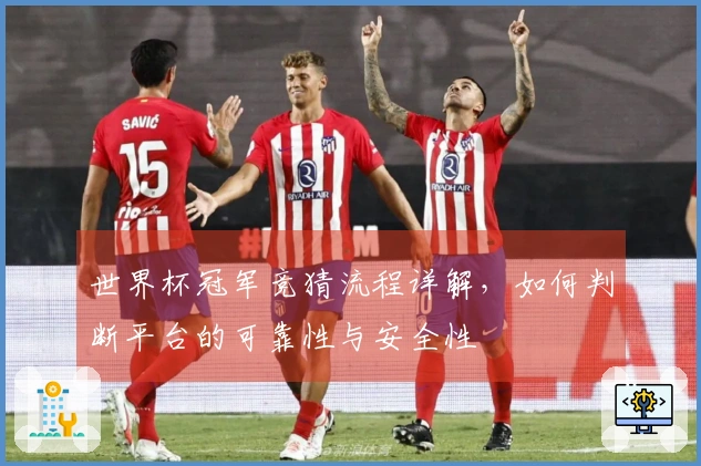 世界杯冠军竞猜流程详解，如何判断平台的可靠性与安全性
