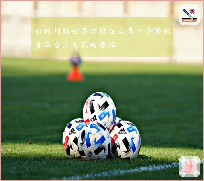 如何判断世界杯投注站盘口升降的真实含义与策略选择