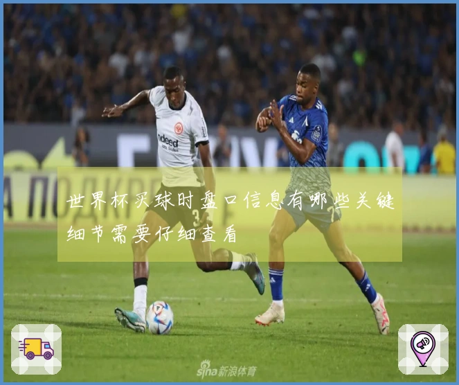 世界杯买球时盘口信息有哪些关键细节需要仔细查看