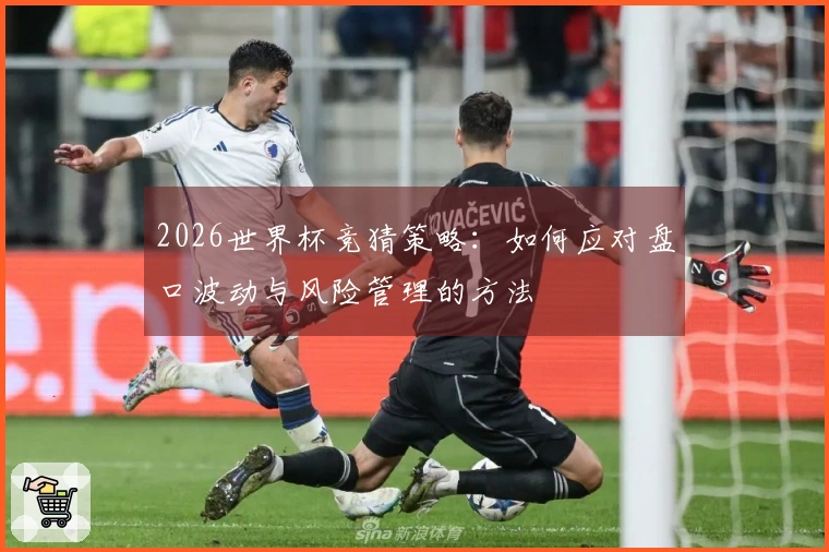 2026世界杯竞猜策略：如何应对盘口波动与风险管理的方法