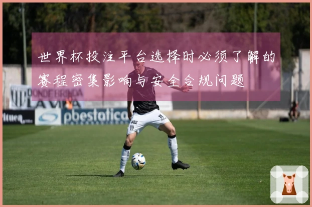 世界杯投注平台选择时必须了解的赛程密集影响与安全合规问题