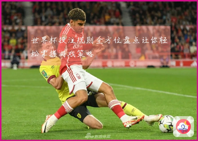 世界杯投注规则全方位盘点让你轻松掌握游戏策略