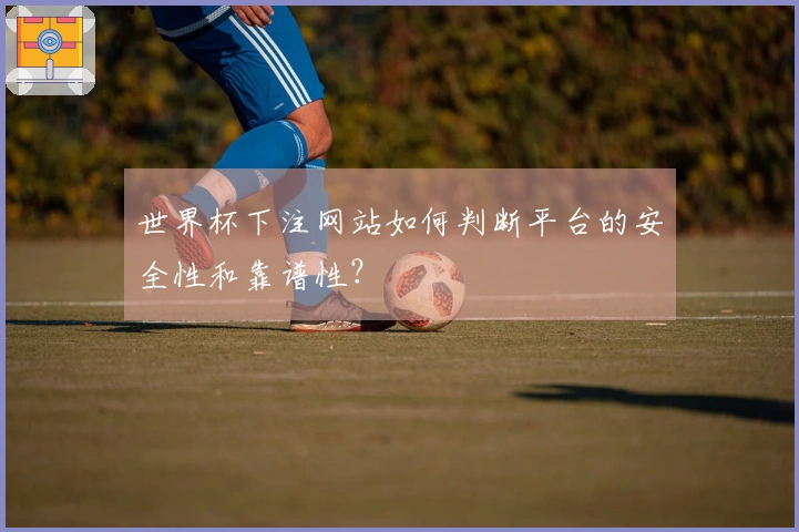 世界杯下注网站如何判断平台的安全性和靠谱性?