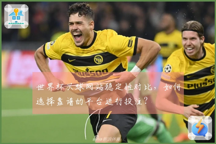 世界杯买球网站稳定性对比,如何选择靠谱的平台进行投注?