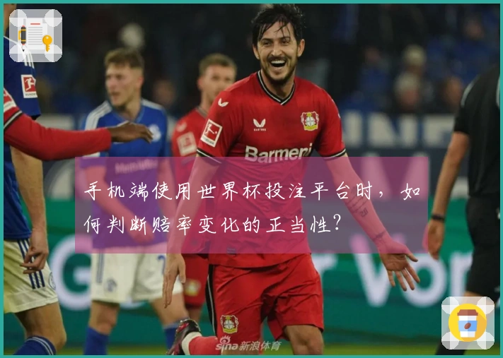 手机端使用世界杯投注平台时，如何判断赔率变化的正当性？
