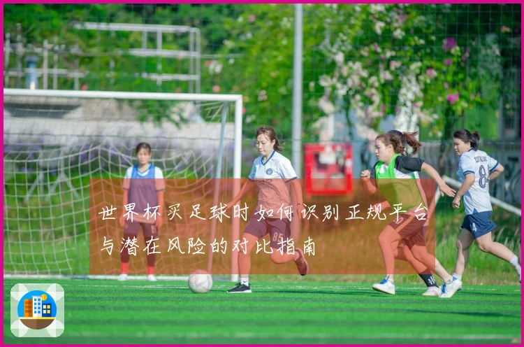 世界杯买足球时如何识别正规平台与潜在风险的对比指南