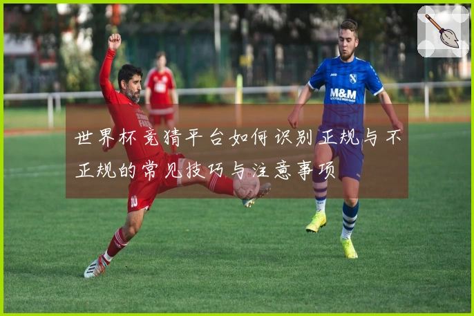 世界杯竞猜平台如何识别正规与不正规的常见技巧与注意事项