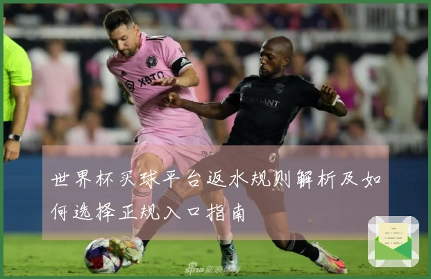 世界杯买球平台返水规则解析及如何选择正规入口指南