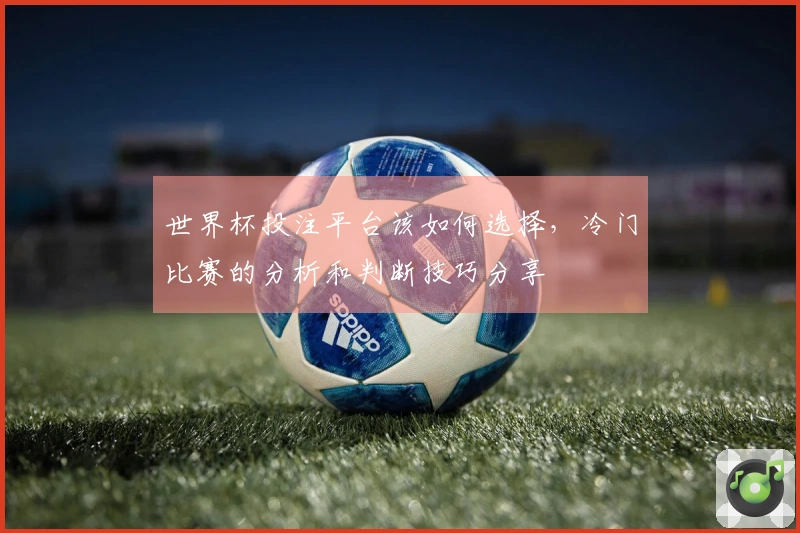 世界杯投注平台该如何选择，冷门比赛的分析和判断技巧分享
