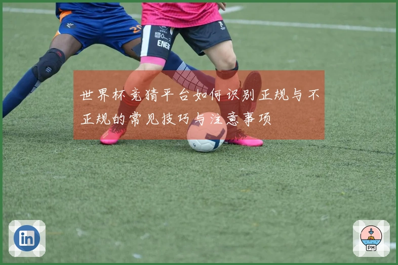 世界杯竞猜平台如何识别正规与不正规的常见技巧与注意事项