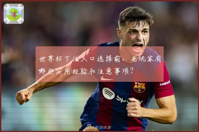 世界杯下注入口选择前，老玩家有哪些实用经验和注意事项？