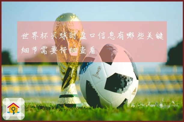 世界杯买球时盘口信息有哪些关键细节需要仔细查看