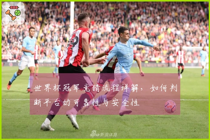 世界杯冠军竞猜流程详解，如何判断平台的可靠性与安全性