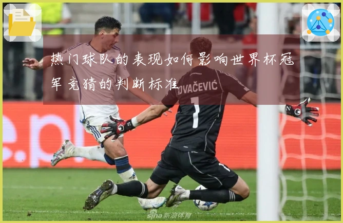 热门球队的表现如何影响世界杯冠军竞猜的判断标准