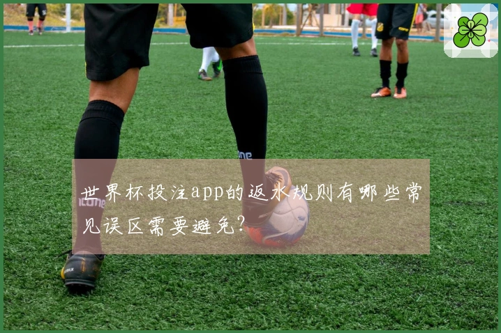 世界杯投注app的返水规则有哪些常见误区需要避免?